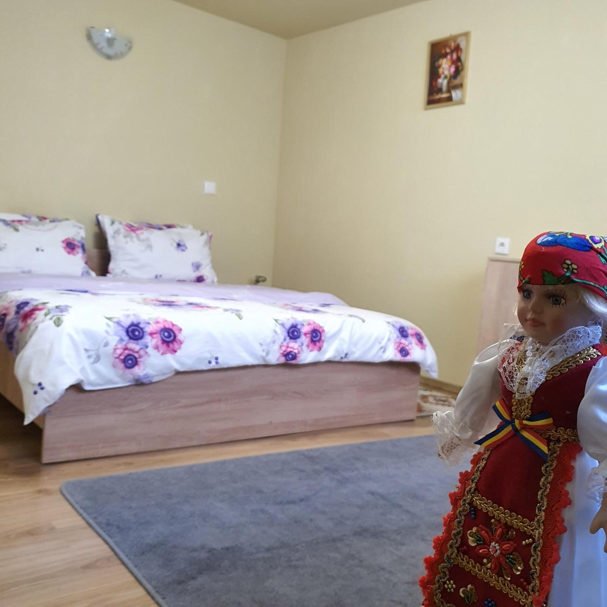 Appartement Carissa House à Braşov Extérieur photo